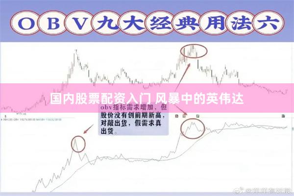 国内股票配资入门 风暴中的英伟达