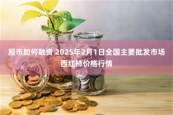 股市如何融资 2025年2月1日全国主要批发市场西红柿价格行情