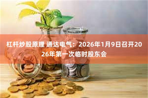 杠杆炒股原理 通达电气：2026年1月9日召开2026年第一次临时股东会
