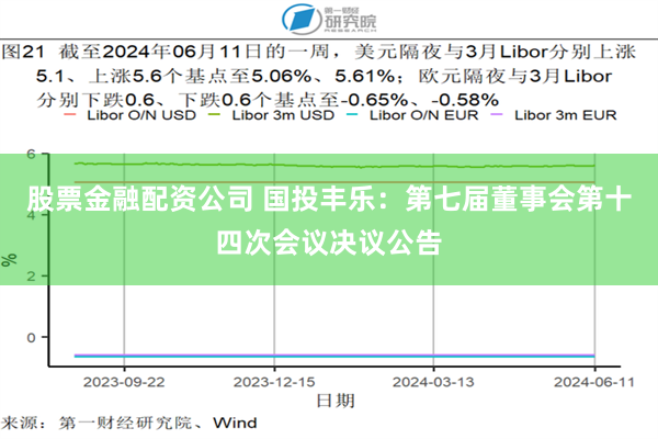 股票金融配资公司 国投丰乐：第七届董事会第十四次会议决议公告