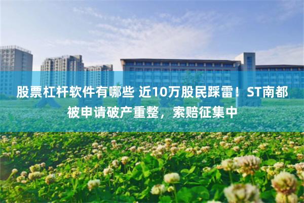 股票杠杆软件有哪些 近10万股民踩雷！ST南都被申请破产重整，索赔征集中